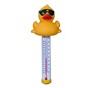 Derby Duck Floating Pool & Spa Thermometer